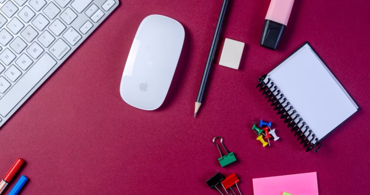 Comprendre la structure d'un article essentiel