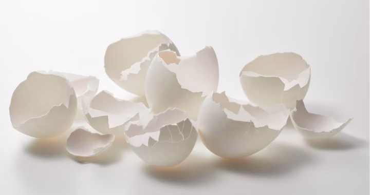 Ovoderm® : découvrez la richesse de ce collagène de coquille d'œuf !