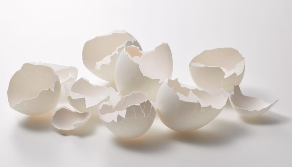 Ovoderm® : découvrez la richesse de ce collagène de coquille d'œuf !