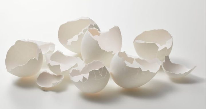 Ovoderm® : découvrez la richesse de ce collagène de coquille d'œuf !
