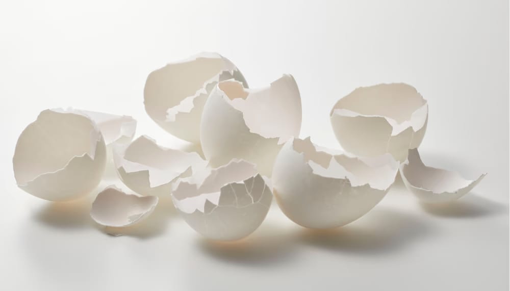 Ovoderm® : découvrez la richesse de ce collagène de coquille d'œuf !