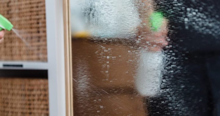 Nettoyeur vapeur à main Bissell Steam Shot Test : Avis et prix 2026